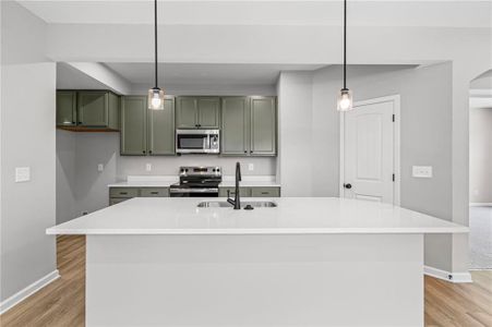 New construction Townhouse house 23 Gold Dust Dr, Unit 1-B, Dawsonville, GA 30534 plan Wembley - image 10