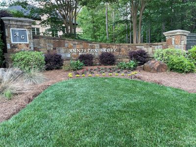 New construction Single-Family house 1403 Becklow Court, Unit 36, Wesley Chapel, NC 28079 - photo 0