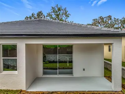 New construction Single-Family house 8 Forest Ln, Eustis, FL 32726 - image