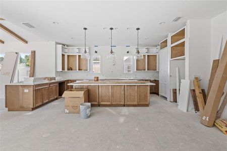 New construction Single-Family house 1096 Riverway Dr, Oakland, FL 34787 null- photo 14 14