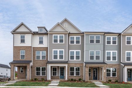 New construction Townhouse house 602 Thatch Ln, Knightdale, NC 27545 plan The Mitchell Interior - image