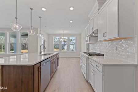 New construction Single-Family house 3204 Balcon Ct, Angier, NC 27501 - image 17