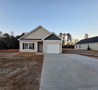 New construction Single-Family house 355 Hookbill Ln, Lillington, NC 27546 - image