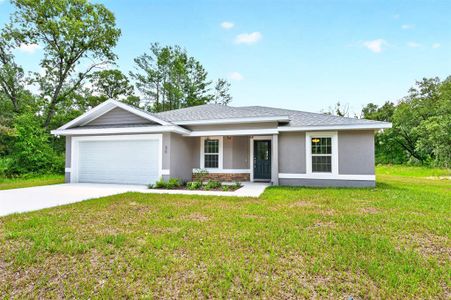 New construction Single-Family house 36 Fisher Lane Crse, Ocklawaha, FL 32179 - image