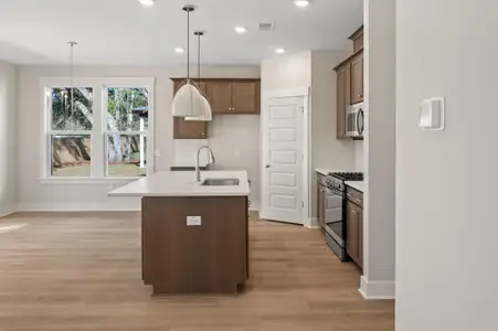 New construction Single-Family house 300 Creek Pointe Dr, Moncks Corner, SC 29461 - image 8
