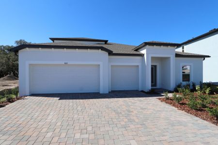 New construction Single-Family house 9603 Crescent Ray Dr, Wesley Chapel, FL 33545 Barcello Bonus- photo 83 83