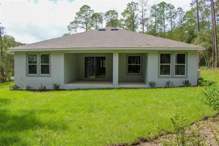 New construction Single-Family house 159 N Kinglet Ave, Hernando, FL 34442 - image 2