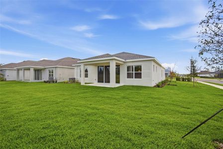 New construction Single-Family house 11830 Richmond Trl, Parrish, FL 34219 plan Brighton 3.0 - image 4