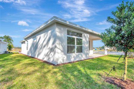 New construction Single-Family house 1062 Liliana Dr, Deland, FL 32724 null- photo 48 48