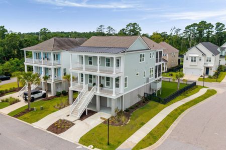 New construction Single-Family house 2305 Braided Ln, Mount Pleasant, SC 29466 - image