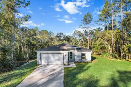 New construction Single-Family house 8114 N Tiny Lily Drive, Citrus Springs, FL 34434 - photo 0