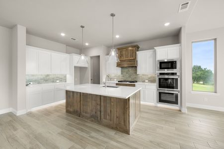 New construction Single-Family house 127 Oak Meadow Ln, Weatherford, TX 76085 plan The Aylin - image 9