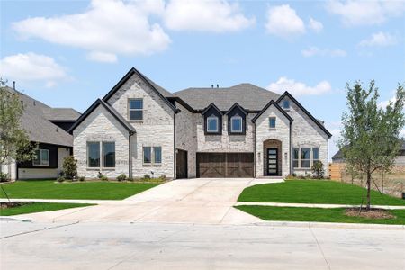 New construction Single-Family house 4212 Pallid St, McKinney, TX 75071 plan Lily IV - image