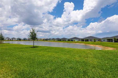 New construction Single-Family house 12501 Sw Forli Way, Port Saint Lucie, FL 34987 Adeline- photo 17 17