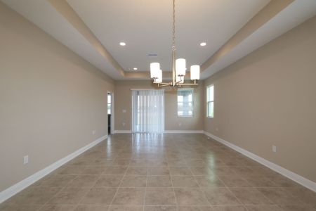 New construction Single-Family house 38357 Palomino Dr, Dade City, FL 33525 Picasso Bonus- photo 46 46