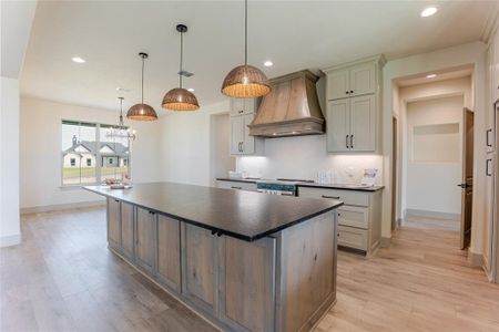 New construction Single-Family house 1033 Lilly Ln, Peaster, TX 76088 - image 14