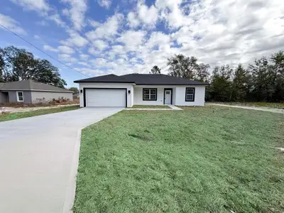 New construction Single-Family house 225 Malauka Run N, Ocklawaha, FL 32179 - image