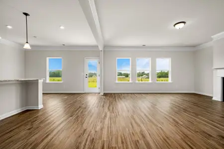 New construction Single-Family house 117 Townsend Wy, Unit 229, Chapel Hill, TN 37034 plan The Harrington - image 18