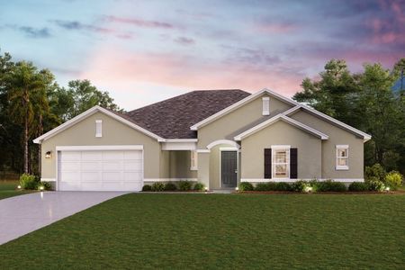 New construction Single-Family house  Smoketree Ln & Beechwood Dr, Ridge Manor, FL 33523 null- photo 0 0