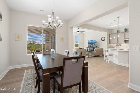 PebbleCreek by Robson Resort Communities in Goodyear - photo 27 27