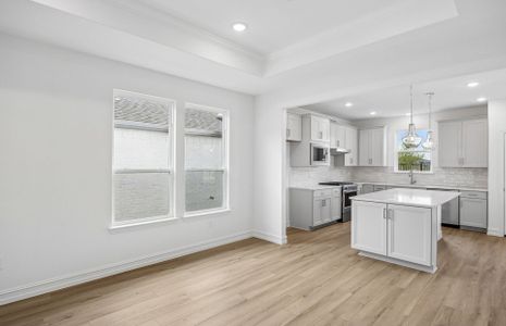New construction Single-Family house 4412 Snead St, Celina, TX 75009 plan Compass - image 20