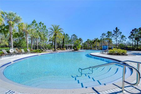 New construction Townhouse house 1291 Colt Creek Pl, Wesley Chapel, FL 33543 null- photo 87 87