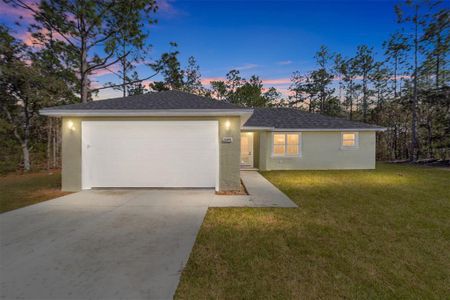 New construction Single-Family house 5891 Sw 138Th Ter, Ocala, FL 34481 null- photo 0