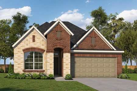 The Colony 45' – Bandera Pass by David Weekley Homes in Bastrop - photo 18 18