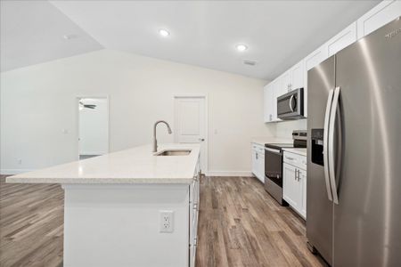 New construction Single-Family house 1135 Nw 13Th St, Cape Coral, FL 33993 plan The Tidewater - image 6