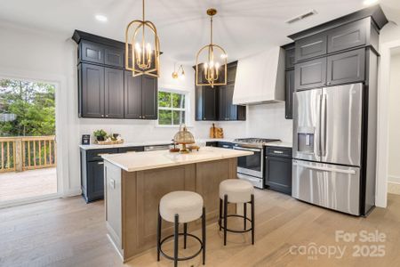 New construction Single-Family house 1500 Nectar Wy, Unit 32, Kannapolis, NC 28083 - image 14