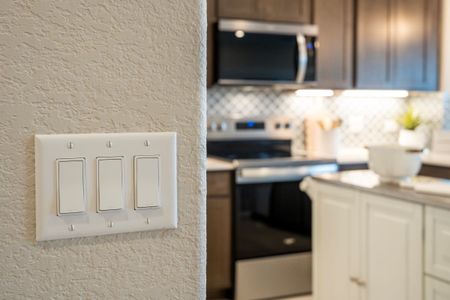 New construction Single-Family house 13024 Kincane Dr, Austin, TX 78617 plan Plan 2458 Modeled - image 9