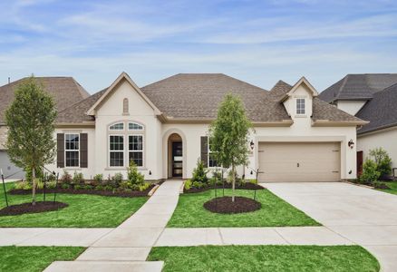 New construction Single-Family house 2231 Edgemont Lake Dr, Missouri City, TX 77459 plan 6005 Elevation D - image
