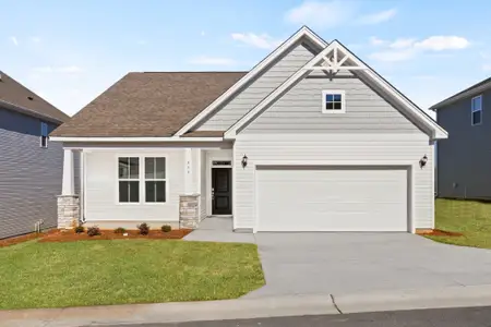 New construction Single-Family house 453 Haddon Trl, Woodruff, SC 29388 plan Harmony - image