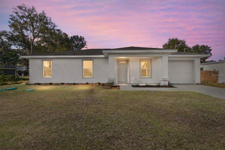 New construction Single-Family house 14 Juniper Pass Dr, Ocala, FL 34480 - image 3