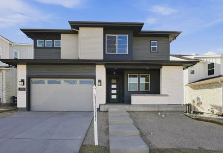 New construction Single-Family house 6513 Bridlespur St, Castle Pines, CO 80108 plan 4074 Corbett Elevation C - Modern Prairie - image
