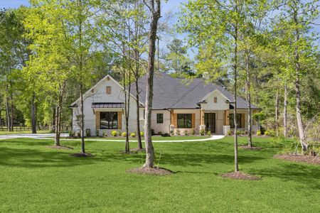 New construction Single-Family house 233 Sundog Road, Huntsville, TX 77340 - photo 0