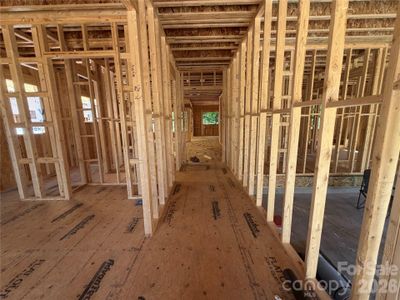 New construction Single-Family house 4201 Commonwealth Ave, Charlotte, NC 28205 - image 5