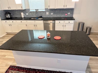 New construction Single-Family house 4805 Mozzafiato Ln, Round Rock, TX 78665 - image 18