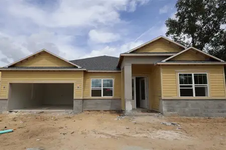 New construction Single-Family house 699 Pointe Emerson Blvd, Apopka, FL 32703 plan Corina II - Eco Grand Series - image