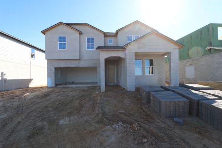 New construction Single-Family house 38326 Tobiano Loop, Dade City, FL 33525 Casanova- photo 71 71