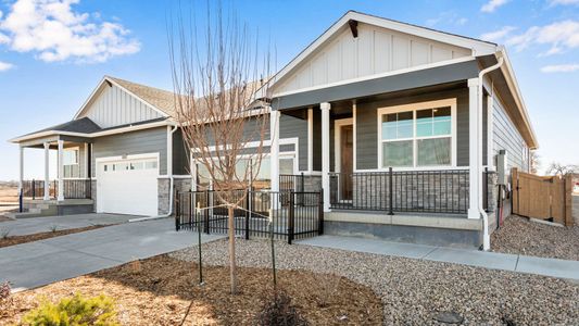 New construction Duplex house 1423 Mullers Dr, Windsor, CO 80550 plan Summit - image