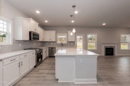 New construction Single-Family house 93 Rosslyn Way, Unit Lot 88, Garner, NC 27529 3130- photo 12 12