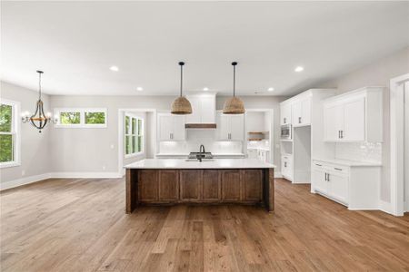 New construction Single-Family house 192 Plantation Xing, Nicholson, GA 30565 - image 12