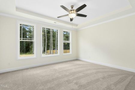 New construction Single-Family house 776 Shadetree Rd, Benson, NC 27504 - image 15