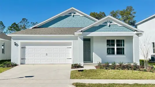 New construction Single-Family house 2874 Elio Hammock Dr, St. Cloud, FL 34773 - image
