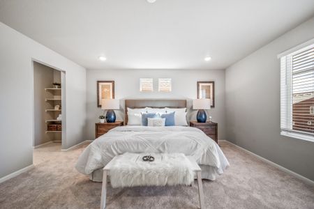 New construction Single-Family house 5743 Bowerman Ln, Colorado Springs, CO 80927 plan Neo - image 7
