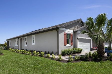 New construction Duplex house 867 Ruddy Quail Pl, Sun City Center, FL 33573 null- photo 19 19