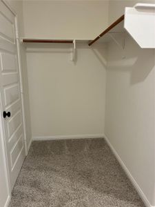 New construction Single-Family house 347 Iron Horse Rd, New Waverly, TX 77378 - image 16
