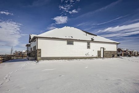 New construction Single-Family house 2008 Dusk Dr, Windsor, CO 80550 Plan C552- photo 4 4