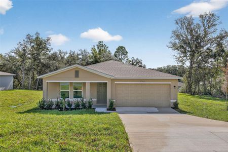 New construction Single-Family house 2912 W Camilo Dr, Citrus Springs, FL 34433 plan Quail Ridge - image